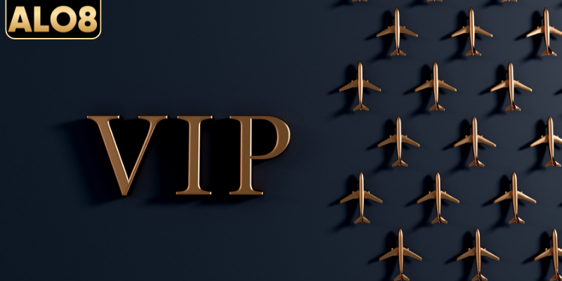 Thông tin về chương trình VIP